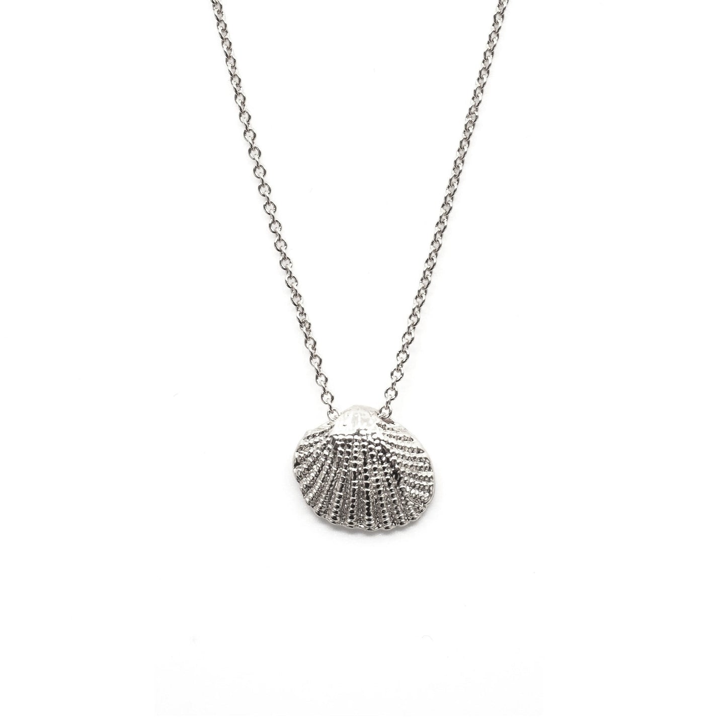 Maui Shell Necklace