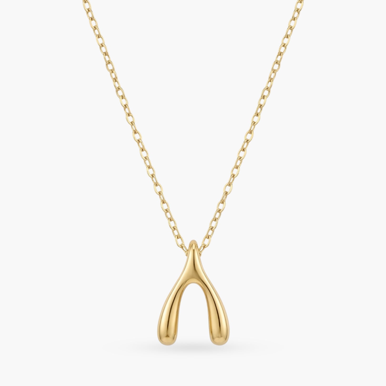 The Make A Wish Necklace
