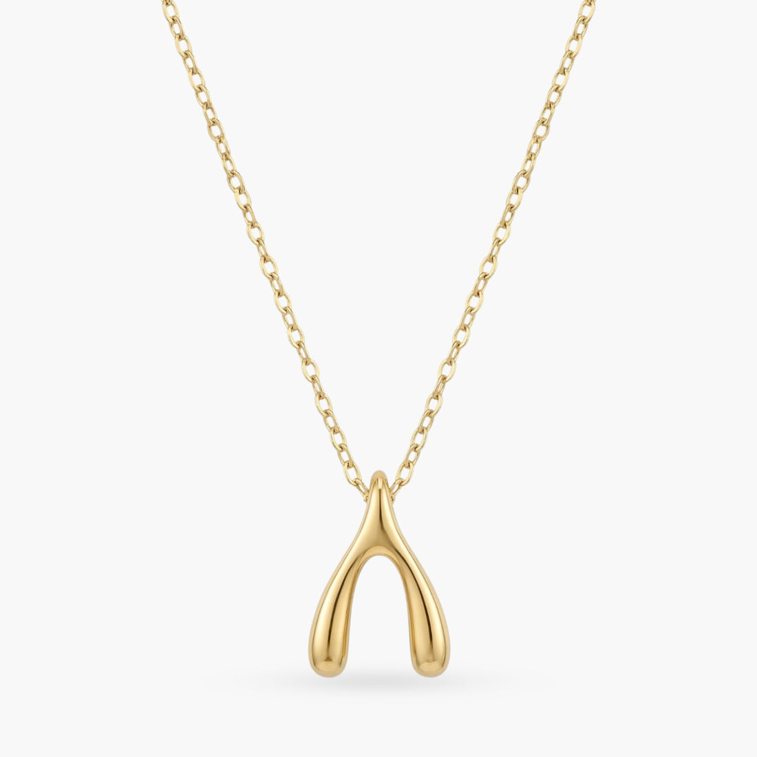 The Make A Wish Necklace