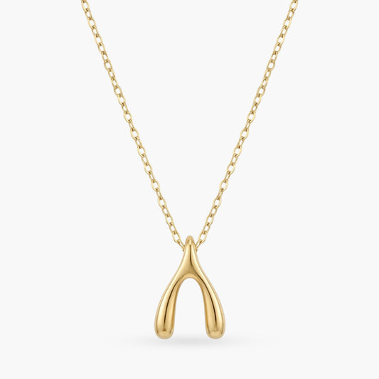 The Make A Wish Necklace