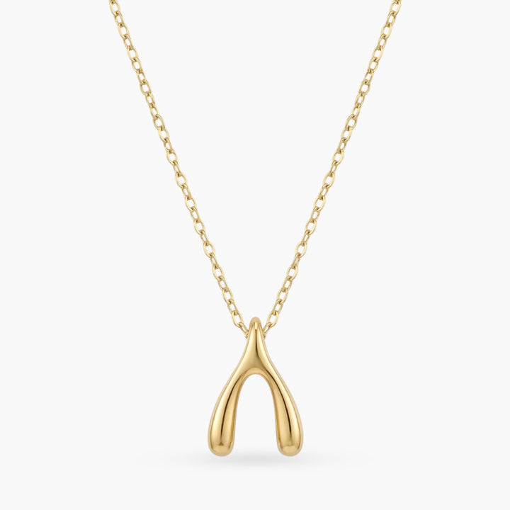 The Make A Wish Necklace