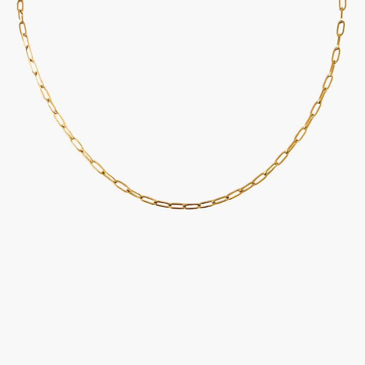 Lola Link Necklace