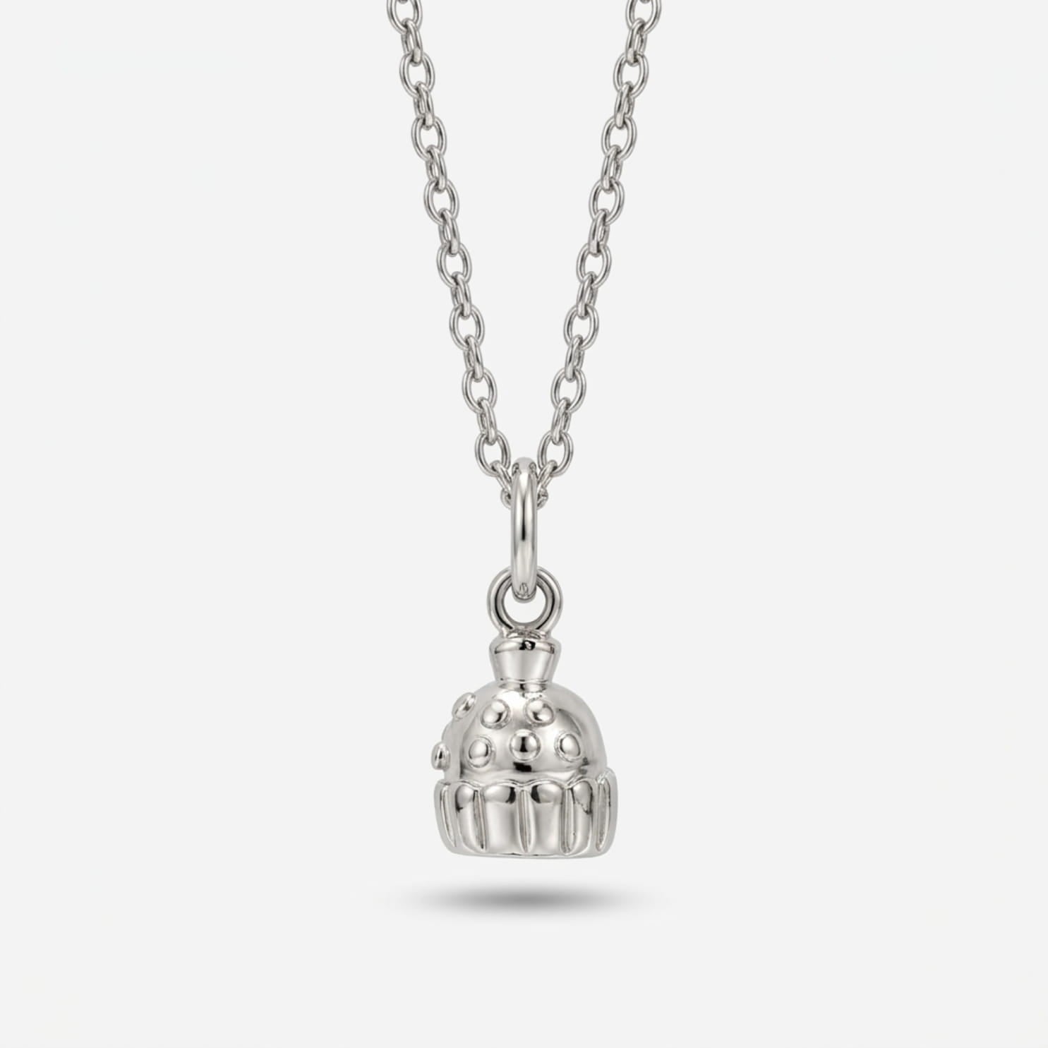 Silver Charms Necklace