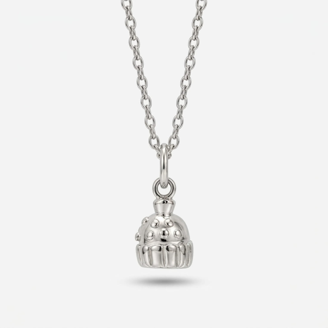 Silver Charms Necklace