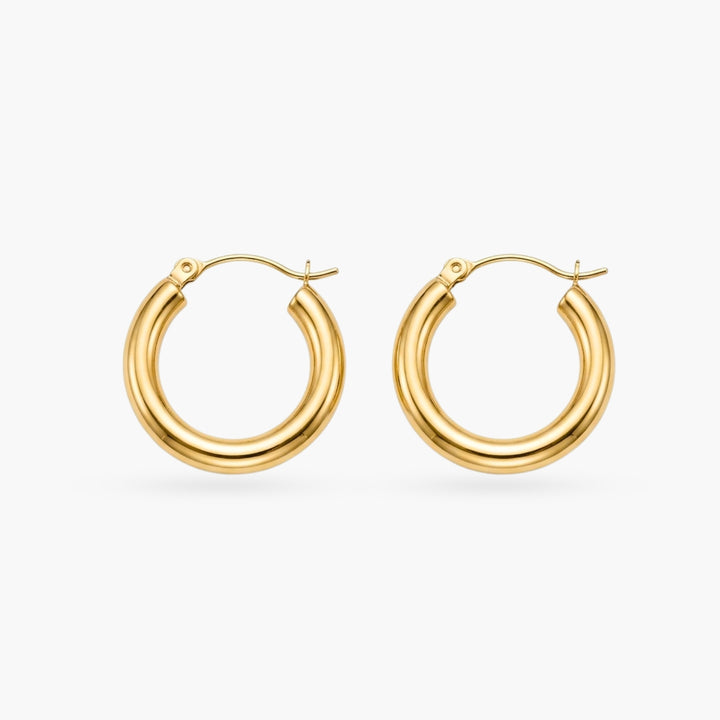 The Gold Hoop Earrings