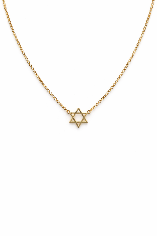 The Star of David Gold Necklace