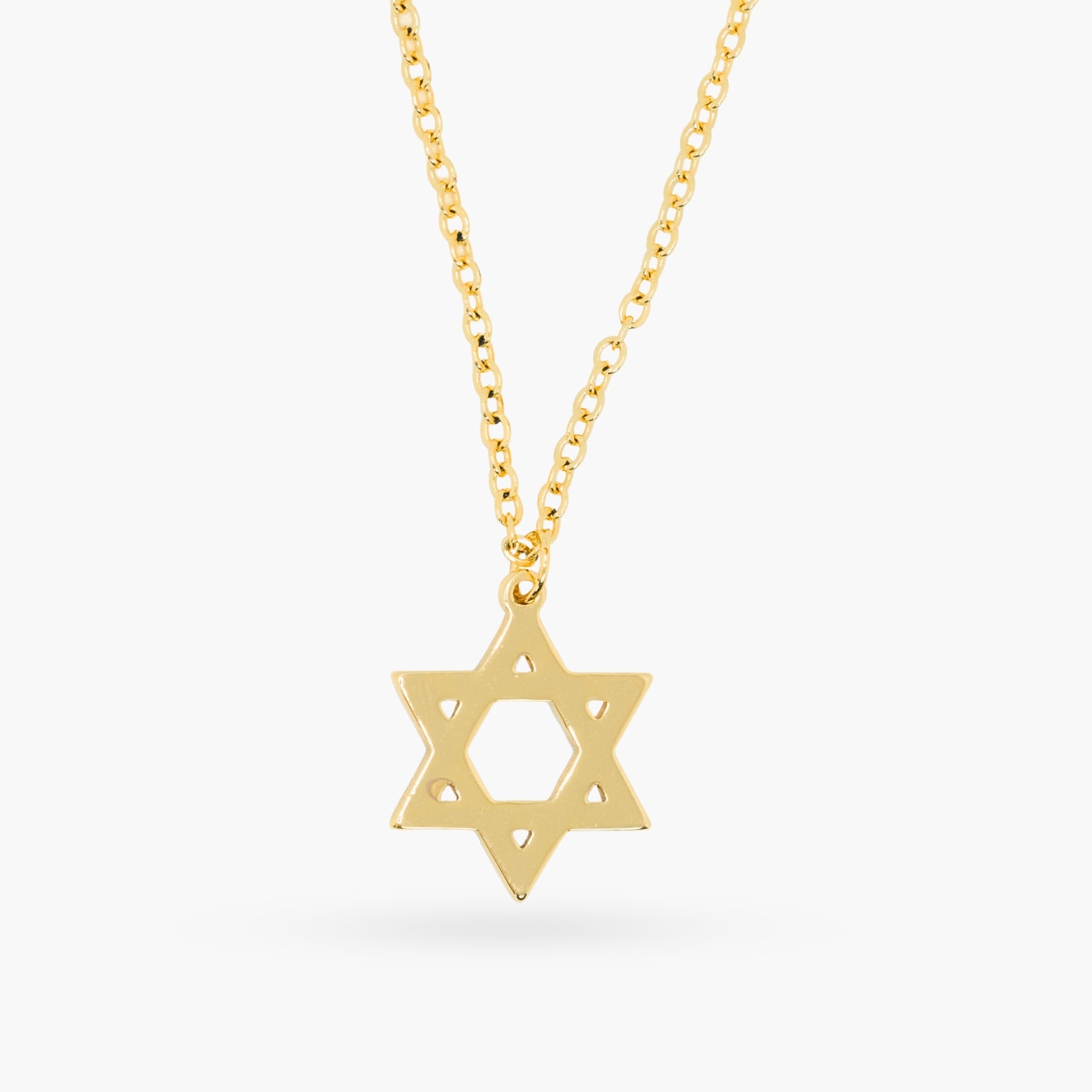 The Rustic Star of David Necklace
