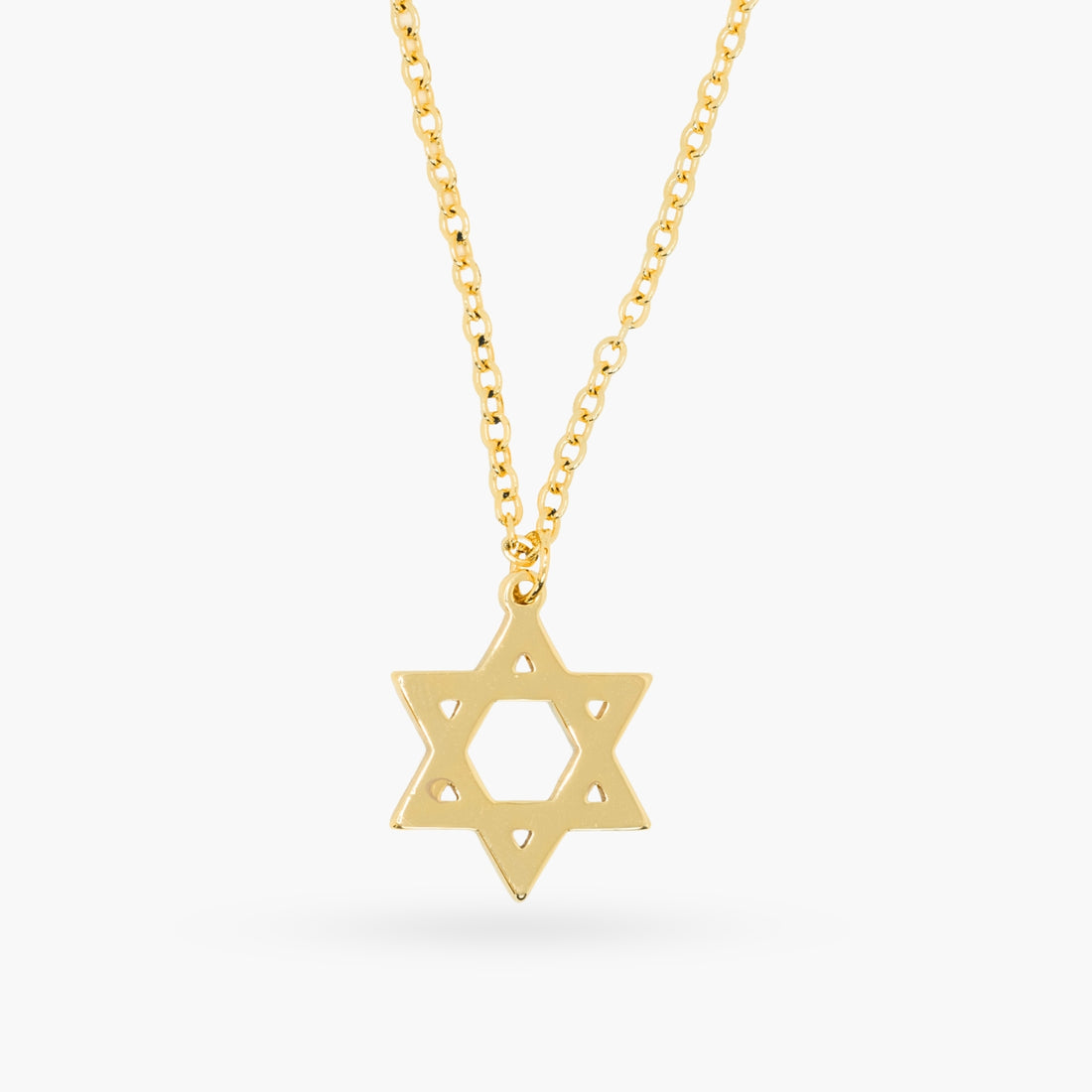 The Rustic Star of David Necklace