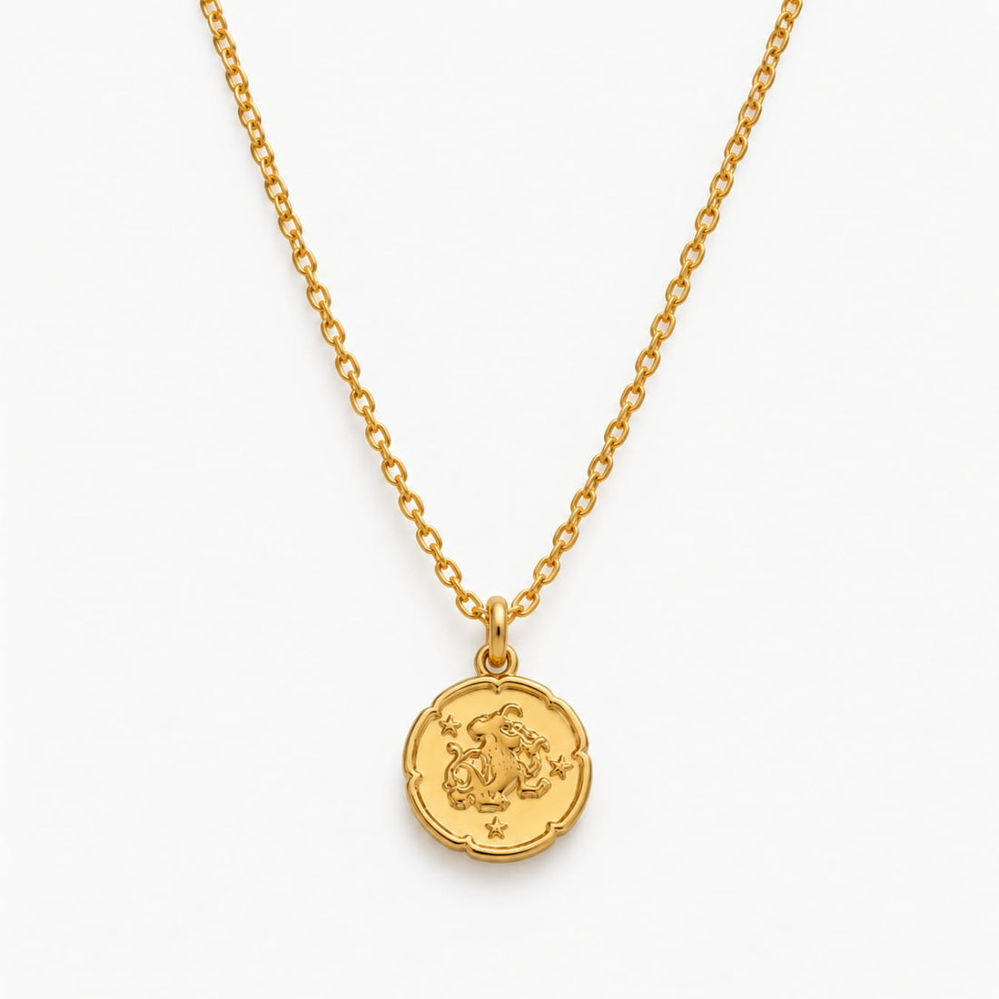 Zodiac Charms Necklace