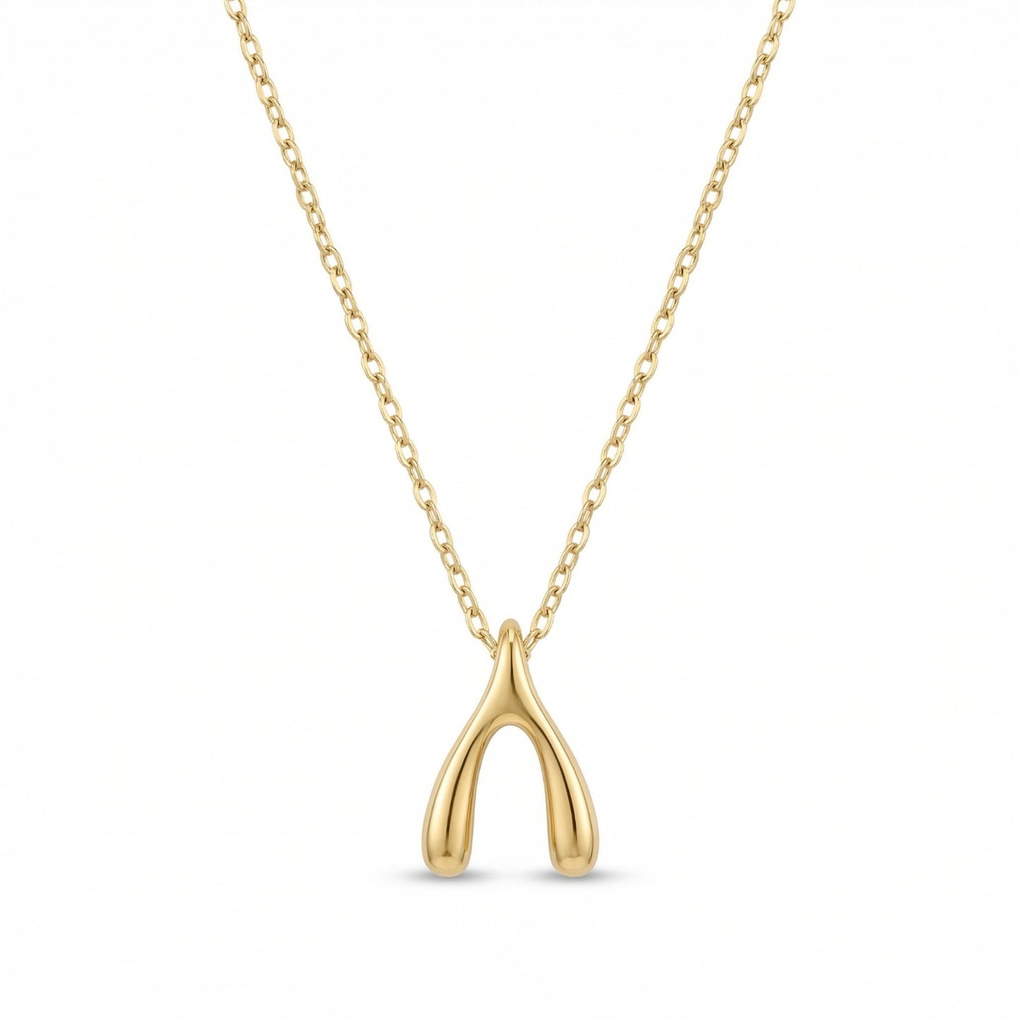 The Make A Wish Necklace