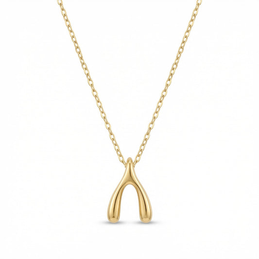 The Make A Wish Necklace
