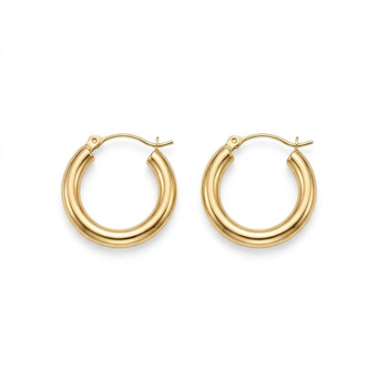 The Gold Hoop Earrings