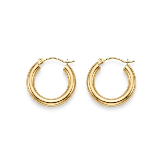 The Gold Hoop Earrings