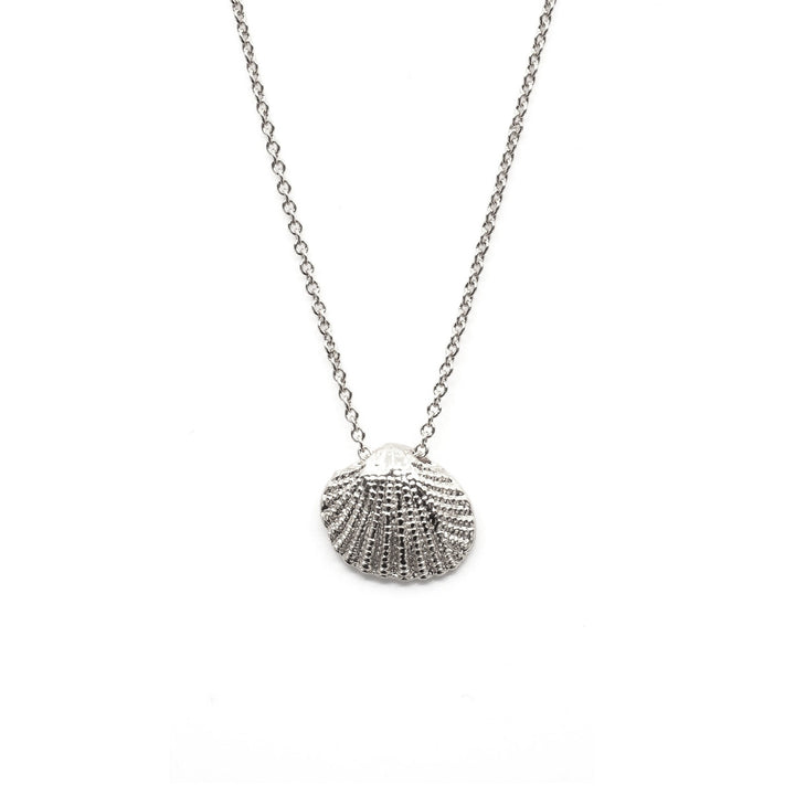 Maui Shell Necklace
