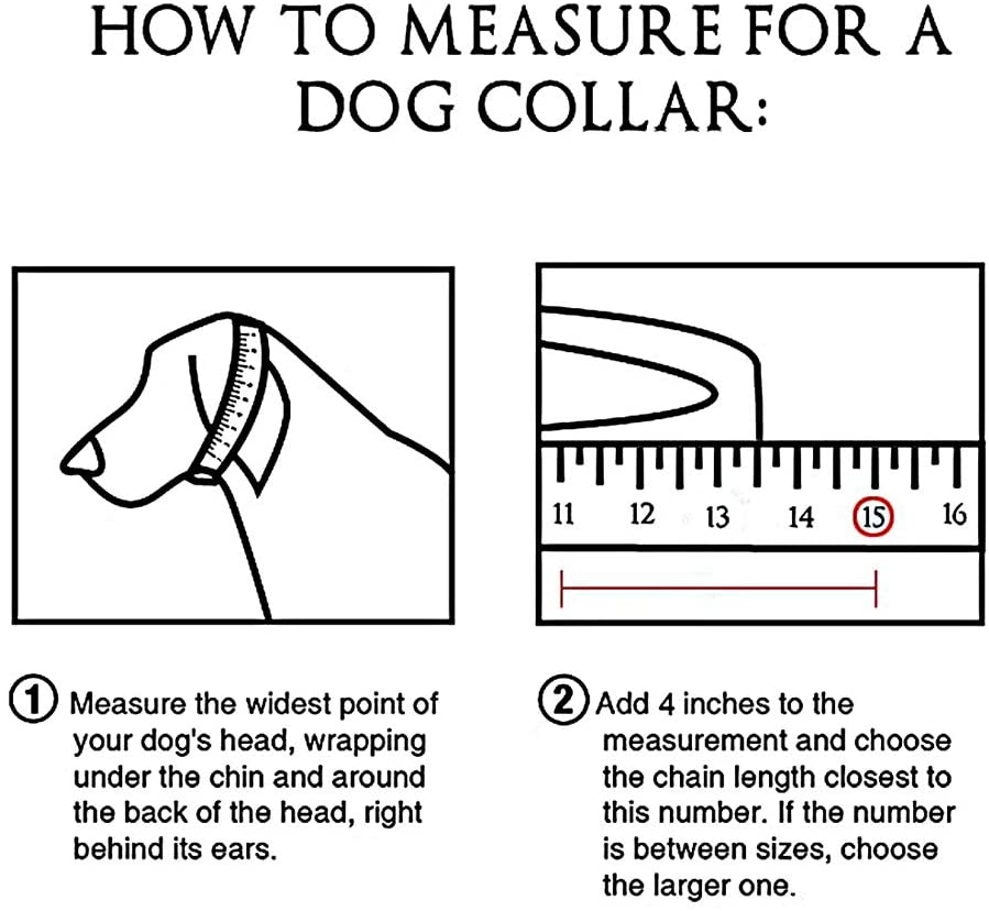 Ibiza for Lola - Gold Chain Dog Collar