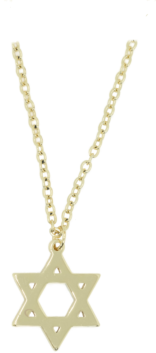 The Rustic Star of David Necklace