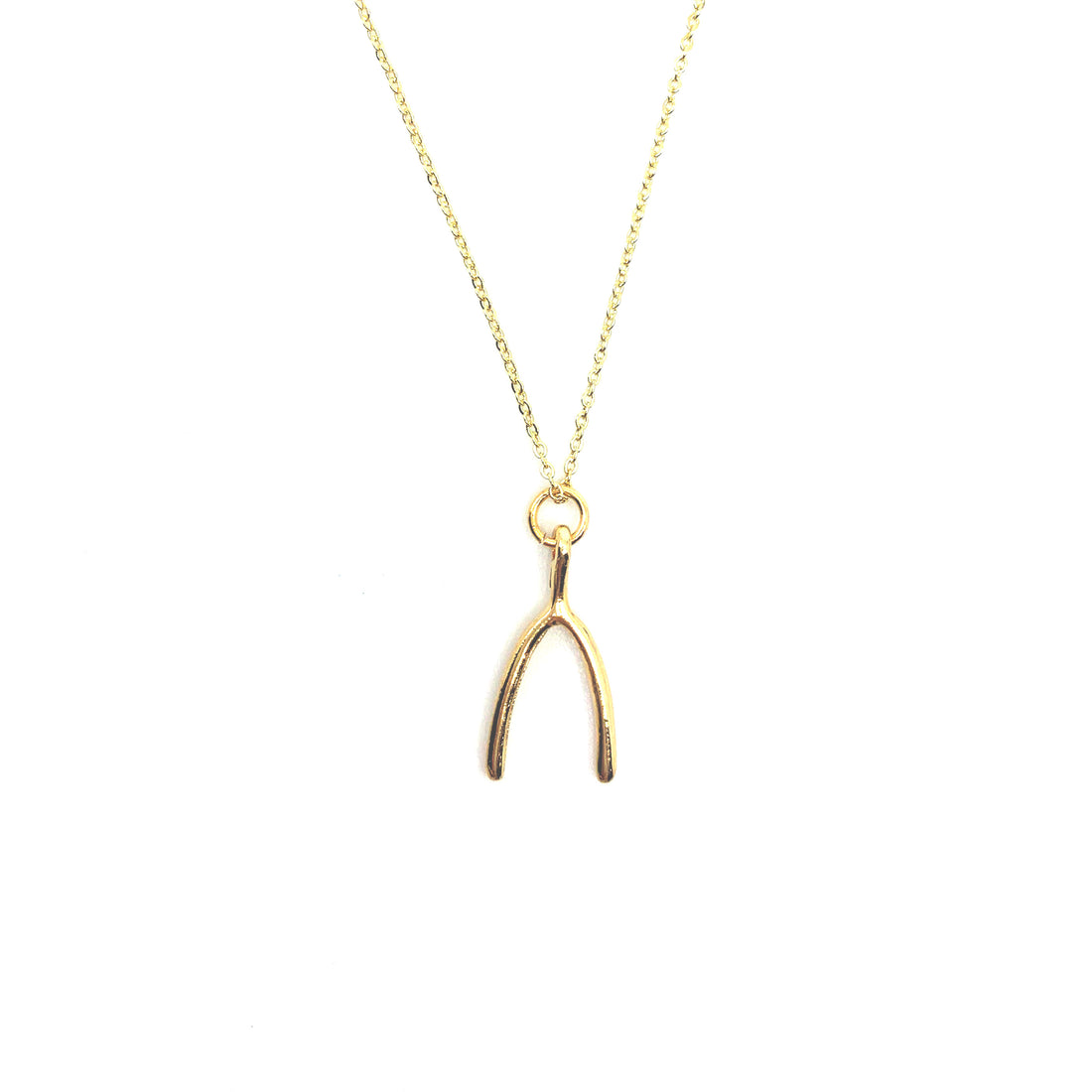 The Make A Wish Necklace